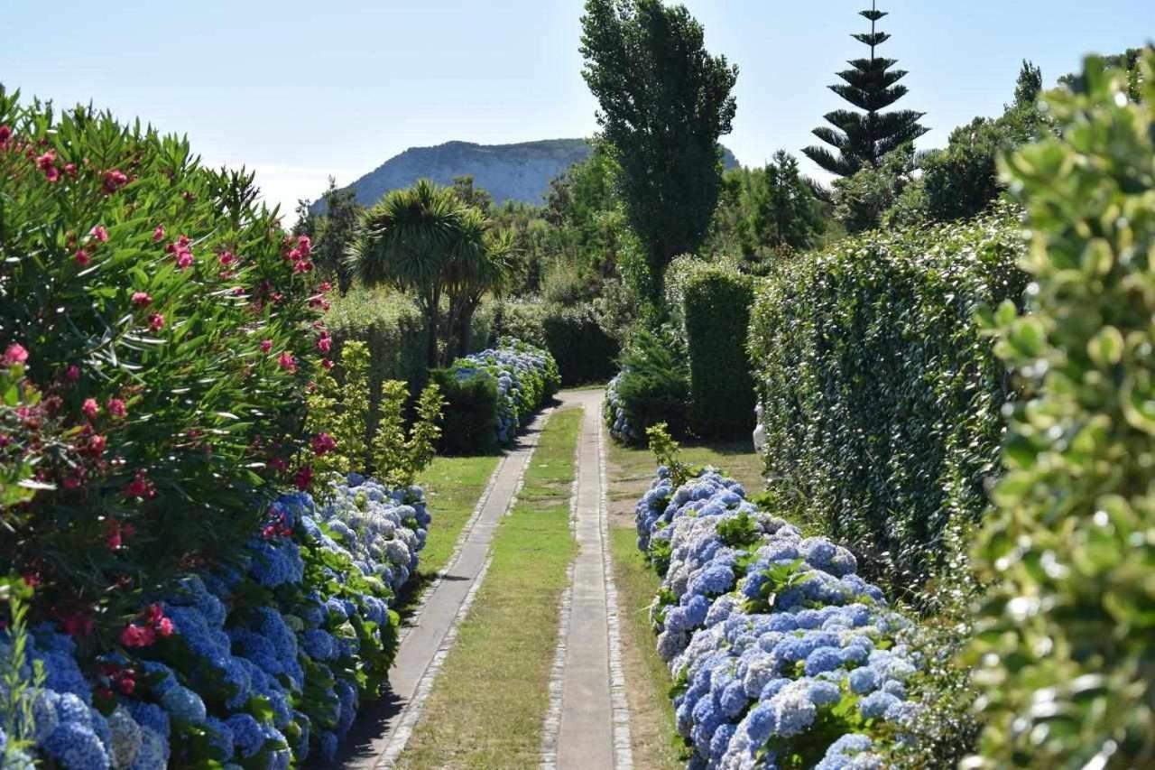 Quinta Da Meia Eira Castelo Branco  Экстерьер фото