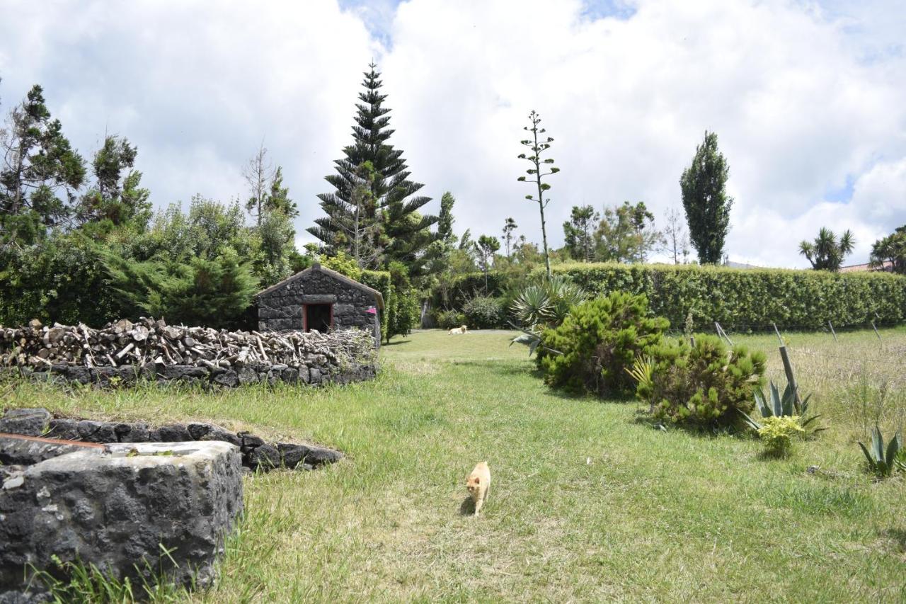 Quinta Da Meia Eira Castelo Branco  Экстерьер фото